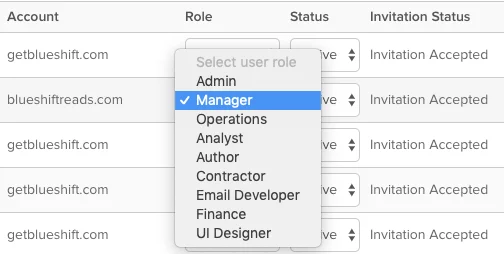Custom roles example screenshot