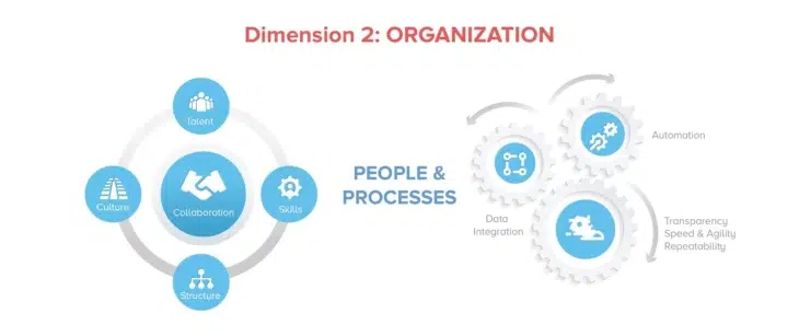Dimension 2: Organization graphic