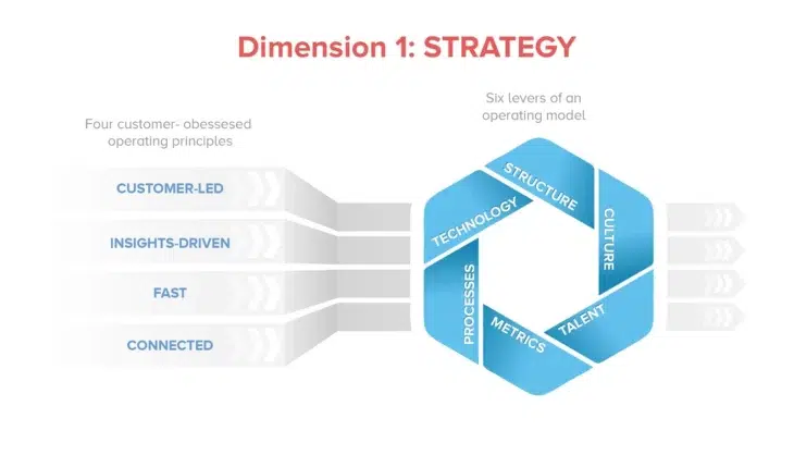 Dimension 1: Strategy graphic