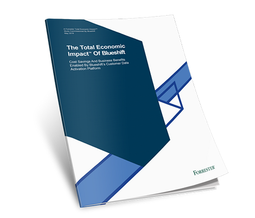 The Total Economic Impact Of Blueshitt