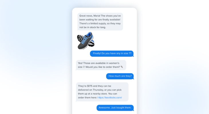 SMS text chat between a shoe brand and a customer