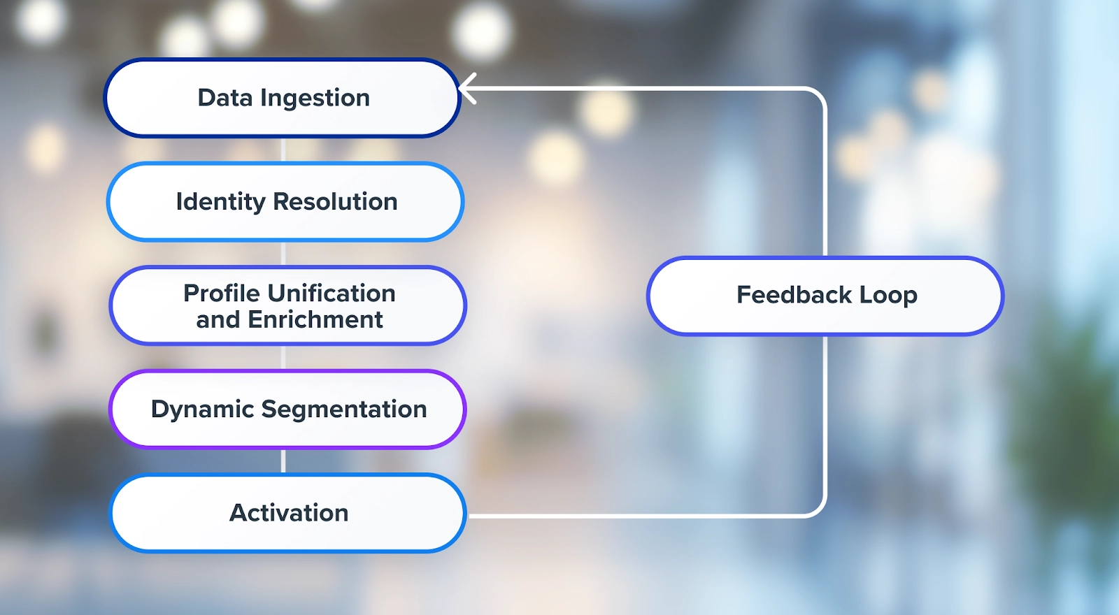Visual diagram showing the Customer Data Platform (CDP) lifecycle: Data Ingestion, Identity Resolution, Profile Unification and Enrichment, Dynamic Segmentation, and Activation. Arrows connect each stage, looping back through a Feedback Loop to enable continuous data refinement.