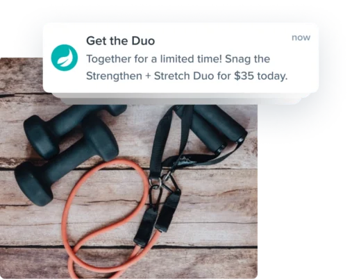 web push notification
