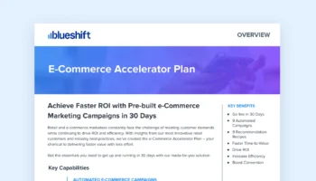 ecommerce accelerator plan